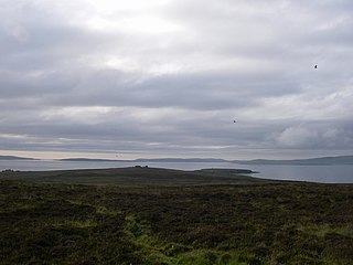 Cava, Orkney island
