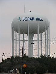 Cedar Hill - Vedere