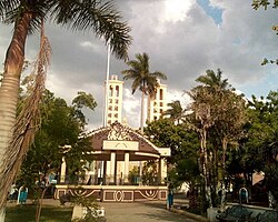 Centro de Ciudad Mante