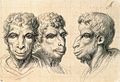 Charles Le Brun - Physiognomic Heads Inspired by a Camel.