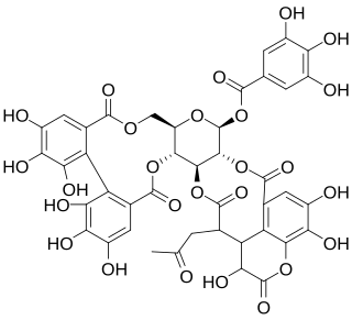 <span class="mw-page-title-main">Chebulagic acid</span> Chemical compound