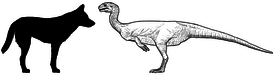 Chilesaurus diegosuarezi
