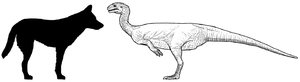 Chilesaurus