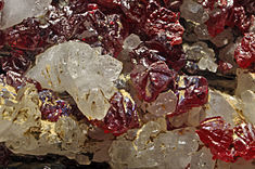 Krystaly rudě červeného cinabaritu v křemeni, ložisko Nikitovka, Doněcká oblast, Ukrajina