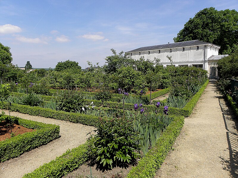 File:Compiègne (60) Parc du château 08.JPG