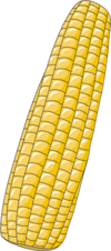 Corn clip art.png