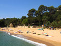 Miniatura para Playa de Santa Cristina