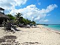 Cozumel Beach - panoramio (1).jpg