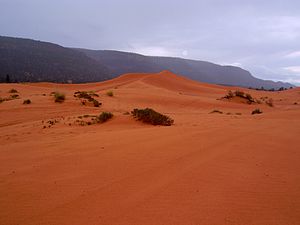 Dunas de areia rosa coral