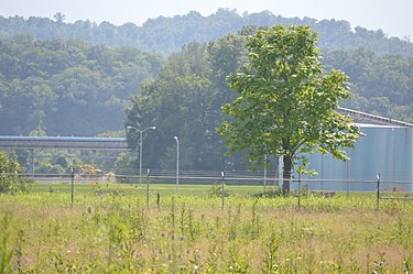 Adena burial mound is located on the plant's site. Shown here where the clump of trees are behind the isolated tree in front. DPandL mound.jpg