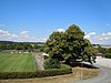 DSCN2345 ND Linde at the Oberndorf sports field.jpg