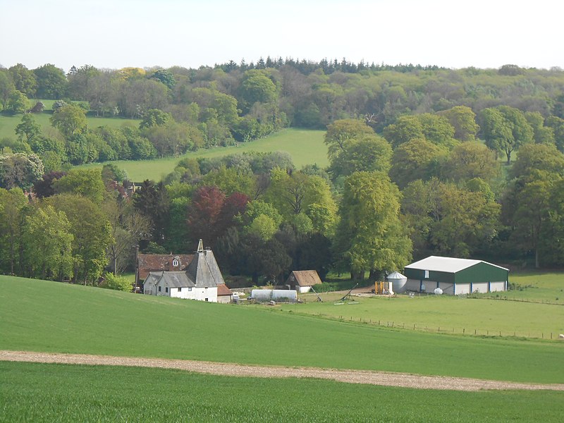 File:Dane Court, Chilham - geograph.org.uk - 3963751.jpg