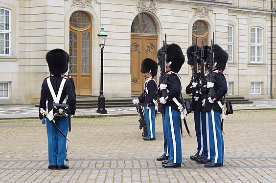 Vertical lines at the changing of the guard at Amalienborg Palace