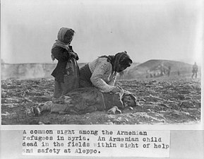 - الإبادة الجماعية للأرمن