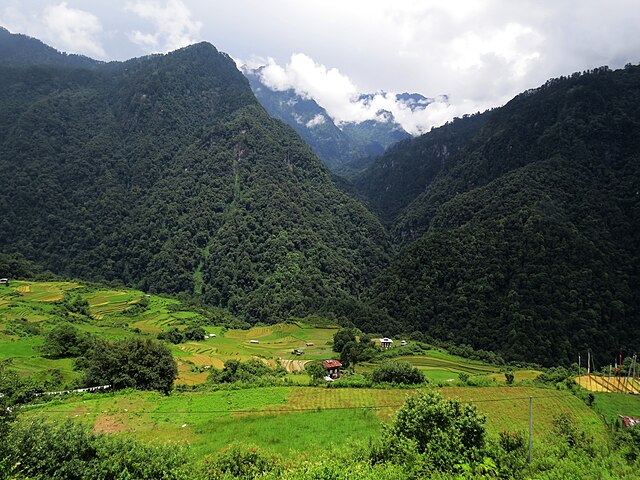 Broadleaf forests in Jigme Dorji National Park, Bhutan