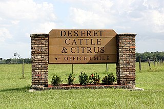 <span class="mw-page-title-main">Deseret Ranches</span> Ranching operations of the Mormon Church in Central Florida