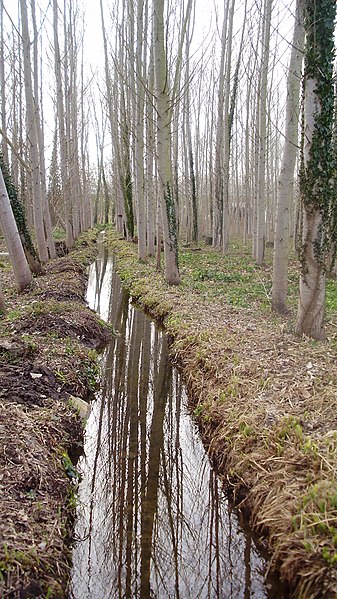 File:Deveses de Salt (Carril bici Girona-Olot) - panoramio.jpg