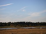 Thumbnail for Minsmere–Walberswick Heaths and Marshes
