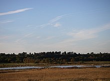 Dingle marsh and Dunwich Forest - geograph.org.uk - 274585.jpg
