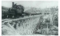 Dispatch locomotive No 140 built 1913 for Westland Sawmilling Co. Camerons on a substantial trestle with light rail (MOTAT collection).jpg