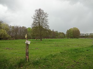 Naturschutzgebiet Dolgensee (April 2017)