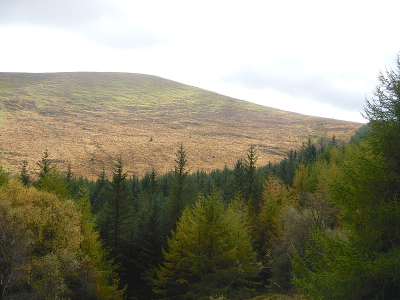 File:Drumgoff, Co. Wicklow, Ireland - panoramio (2).jpg