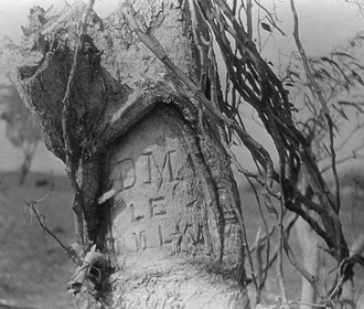 Inscription on tree near McIntyre's grave, ca 1930 Duncan McIntyre Inscription.tif