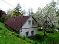 Čeština: Dům čp. 14 ve vsi Dvoreček v okrese Jindřichův Hradec, Jihočeský kraj. English: House No 14 in the village of Dvoreček, Jindřichův Hradec District, South Bohemia, Czech Republic.