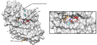 Thumbnail for Inosine kinase