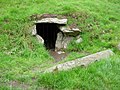 Entrance to South Passage Dowth Megalithic Tomb - geograph.org.uk - 491364.jpg