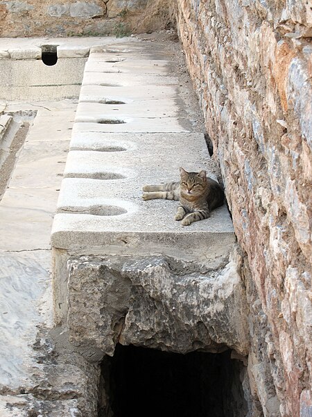 File:Ephesus Curetes Street Latrinae Cat.jpg