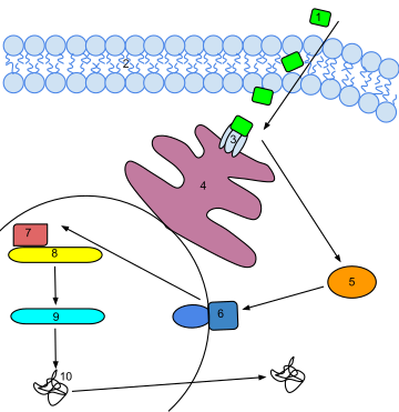 Éthylène (botanique)