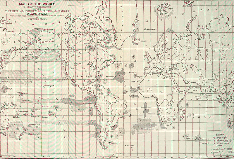 File:FMIB 45970 Map of the World on Mercator's Projection showing the Extent and Distribution of the Present and Abandoned Whaling Grounds.jpeg