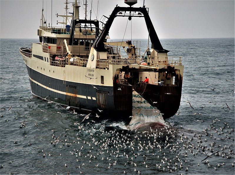 File:Faroes trawler.1.jpg