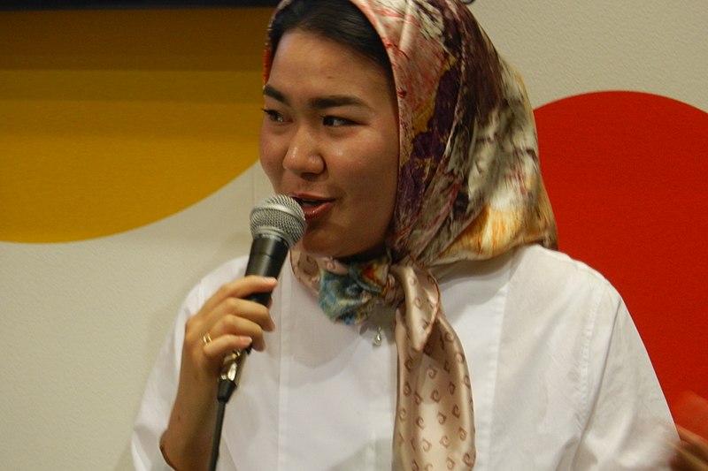 File:Fatemeh Khavari, 2018 (DSCN4014).jpg