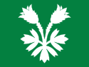 Vlag van Oppland fylke