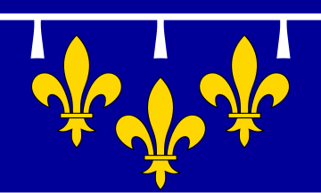 File:Flag of Orléanais.svg