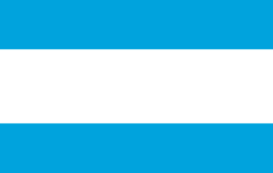 Vlag van de gemeente Maardu