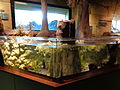 Flint Riverquarium exhibit