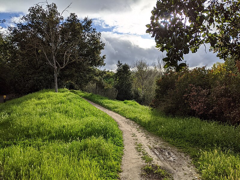 File:Footpath near Los Gatos Creek Trail 2.jpg