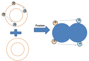 (1.) Illustration of lipid mixing assay based on Forster resonance energy transfer. Fret.svg