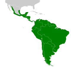 Furnariidae map.svg