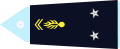 знаки розрізнення бригадного генерала жандармерії (фр. général de brigade)