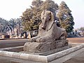 Alabastrová socha sfingy, ktorá sa pôvodne nachádzala pred veľkým chrámom Ptaha