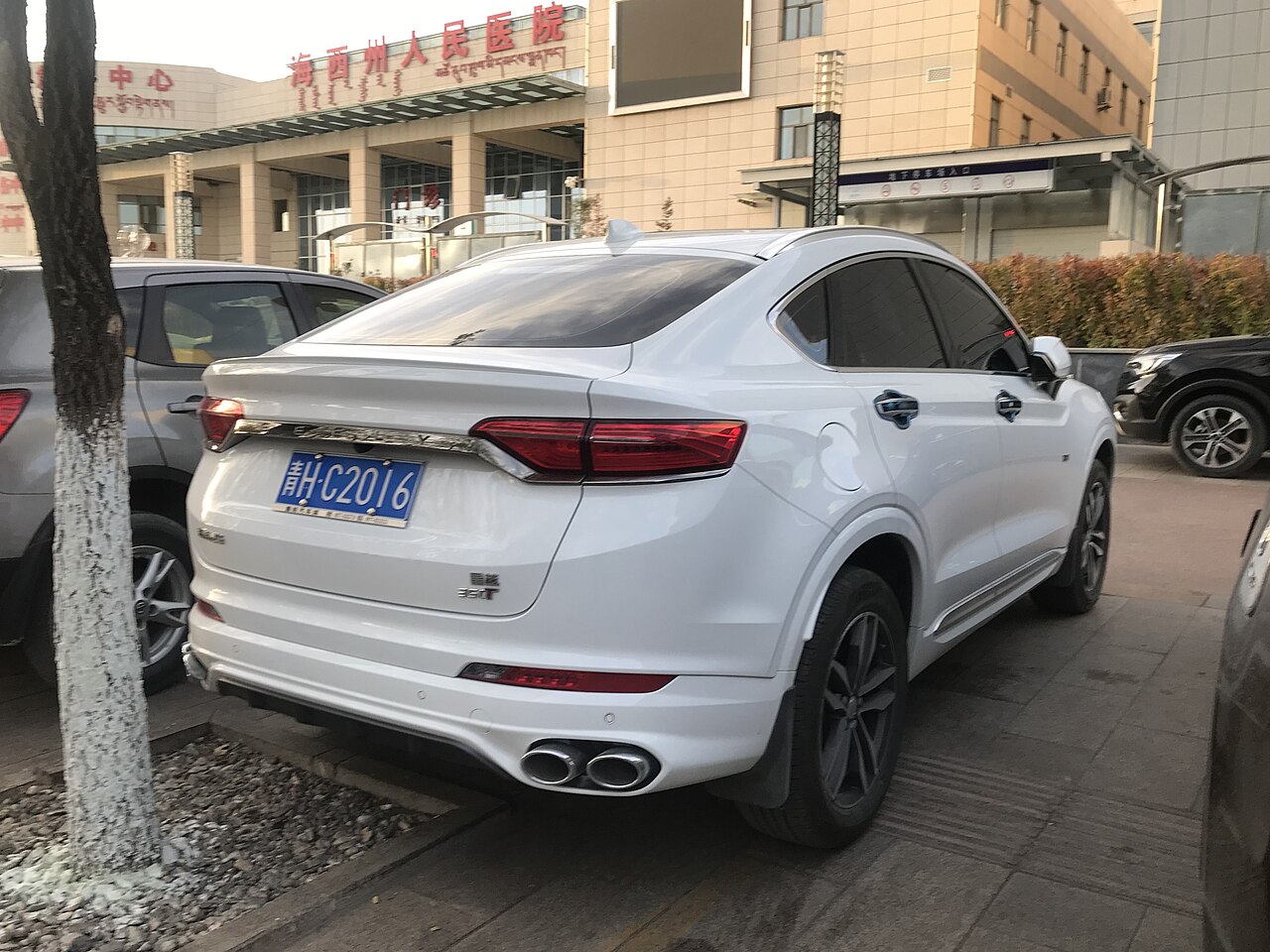 Image of Geely Xingyue 012