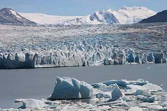 Glaciar Grey-gletsjer