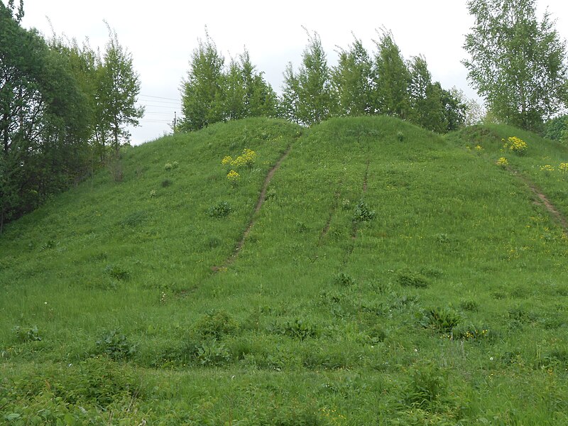 File:Gnezdovo complex - Central hillfort - 09.jpg