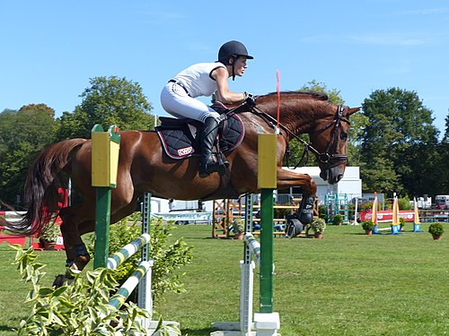 Show jumping in Rennes, La Prevalaye