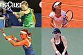 Grand Slam women's singles champions 2011.jpg