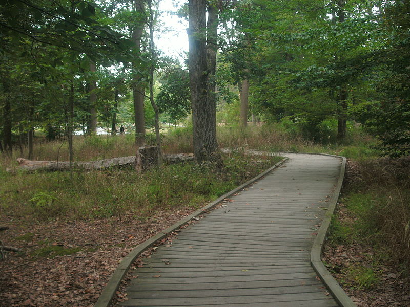 File:Green Spring Gardens Park - boarwalk.JPG